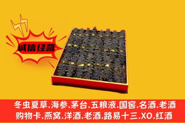 哈尔滨通河回收海参